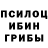 Псилоцибиновые грибы Psilocybe Teacher 1300
