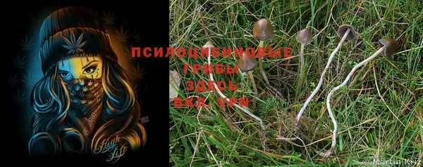 дистиллят марихуана Бородино