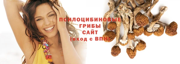 винт Саяногорск